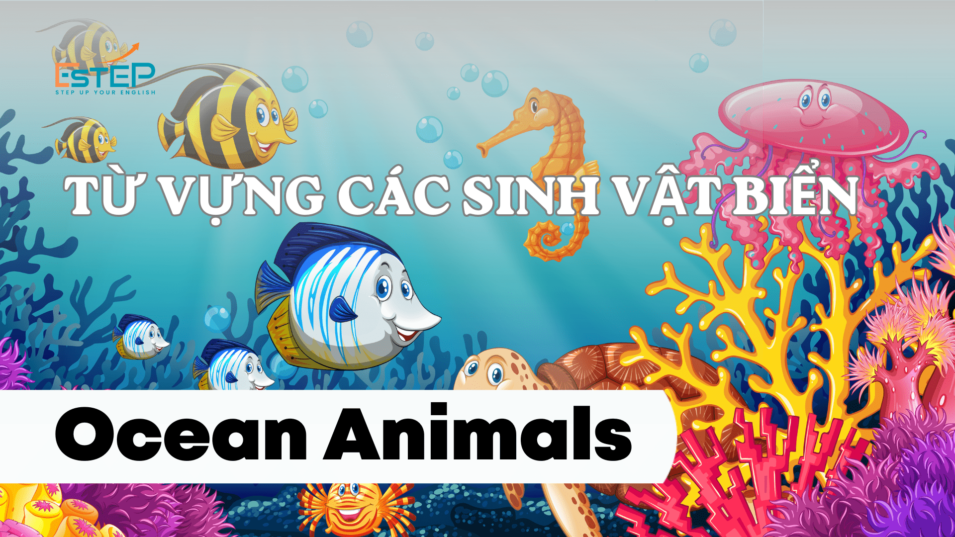 hoc tieng anh cac sinh vat dai duong